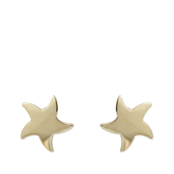 Yıldız Altın Küpe